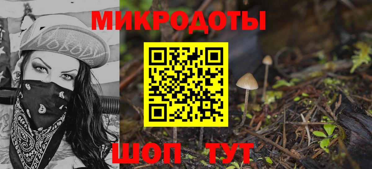 Псилоцибиновые грибы Psilocybine cubensis  купить наркотик  Кострома  Галлюциногенные грибы мицелий  Вход с VPN 