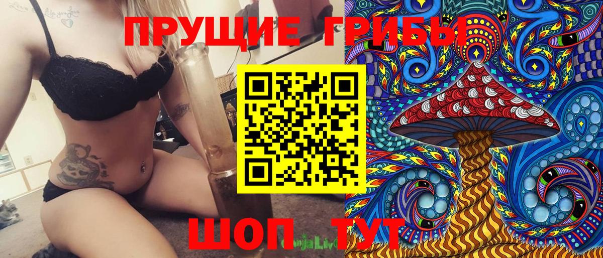 Галлюциногенные грибы Psilocybe Кострома